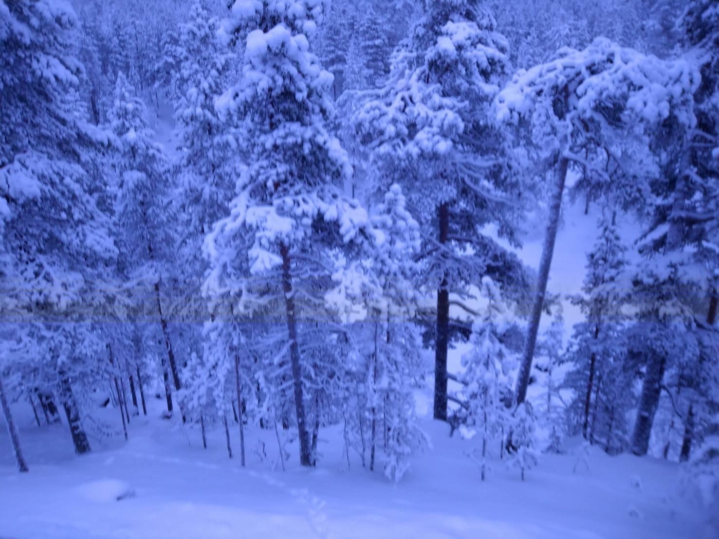 フィンランドの雪景色の写真