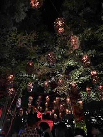 森のライトアップイベントの様子